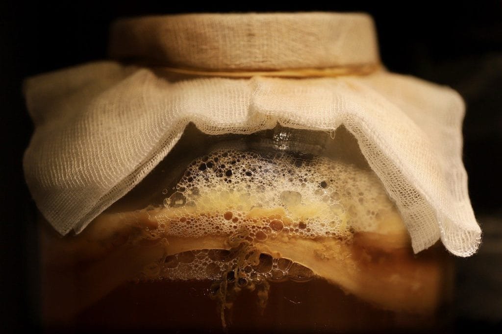 a jar of kombucha tea