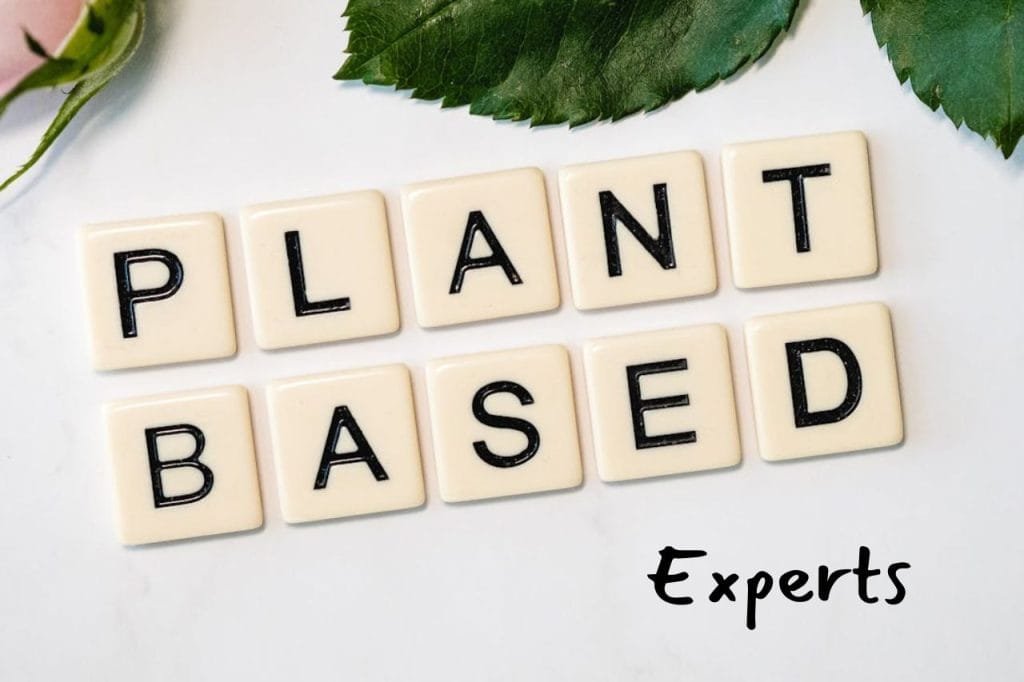 10 plant-based diet experts you need to know in 2024