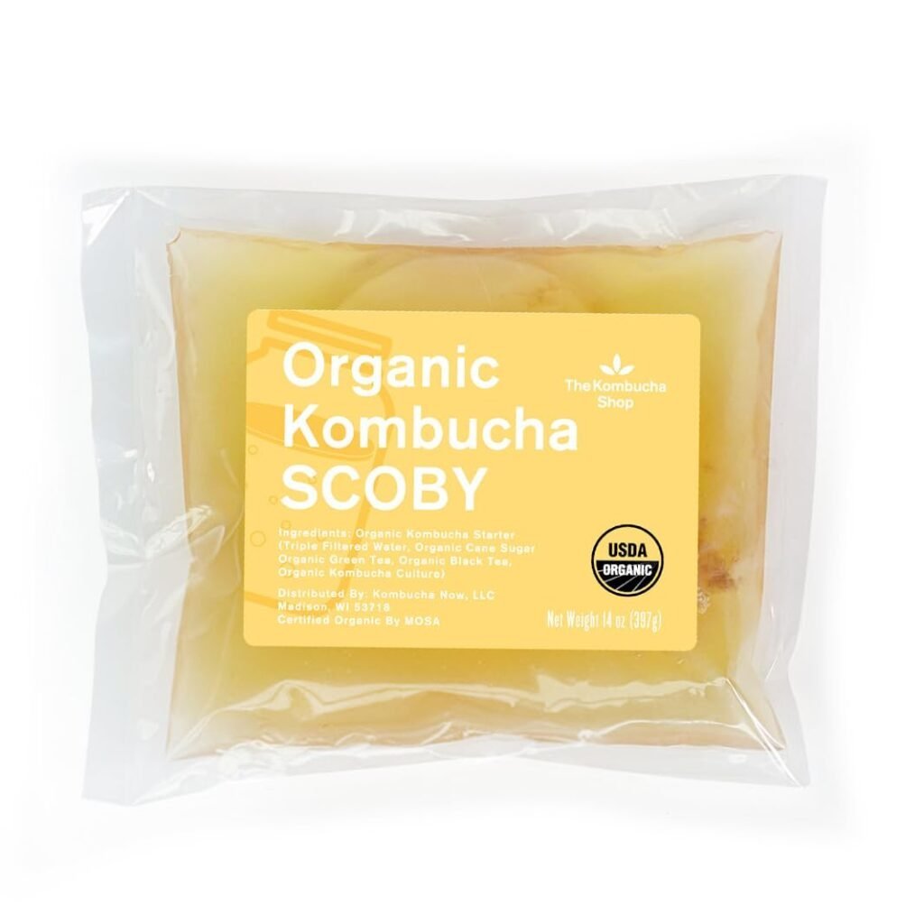 organic scoby kombucha