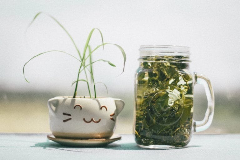 affordable superfoods drinks