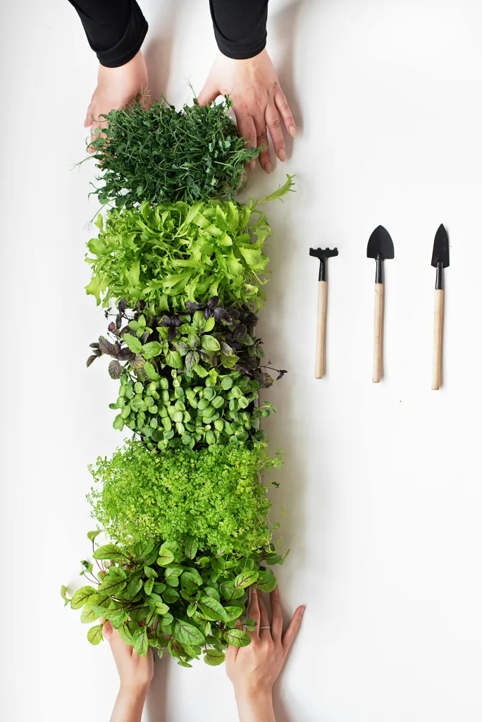 microgreens list
