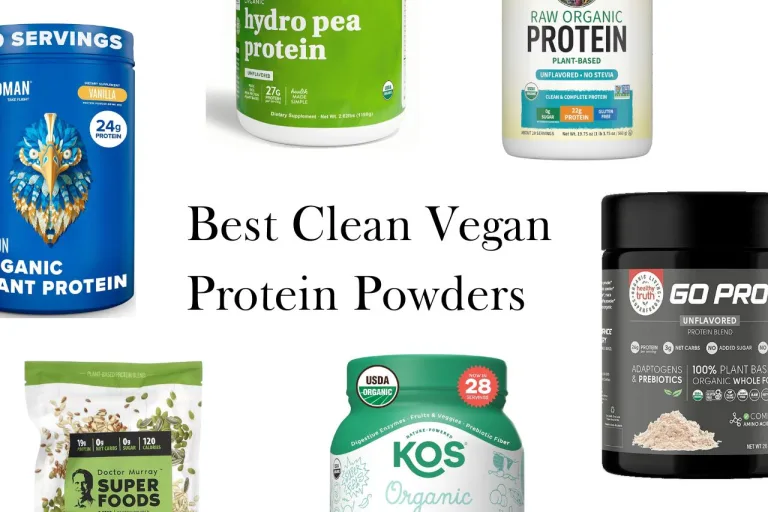 best plant protein powders