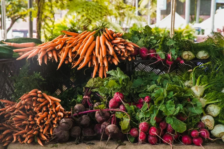 vegetables in season in august