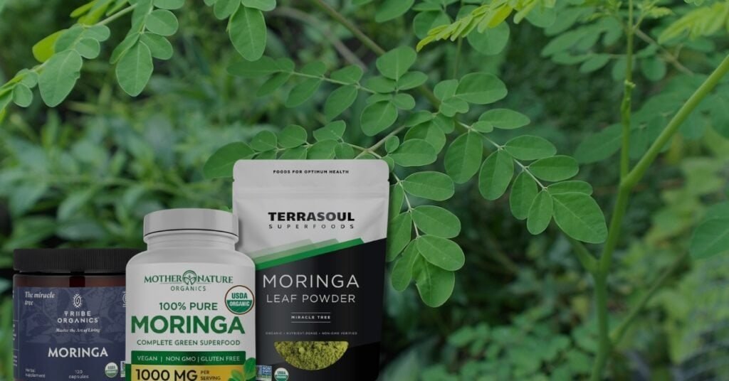 moringa supplements and powders