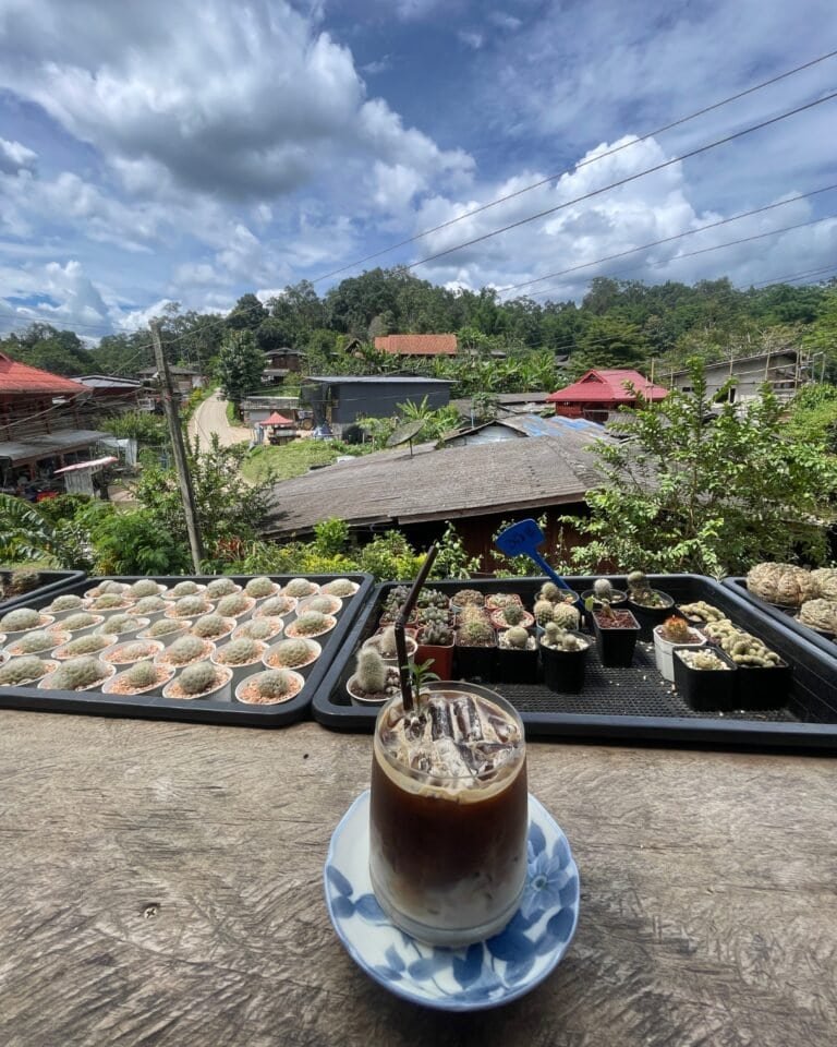 coffee in meditaion retreat