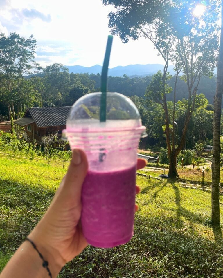 pa pae meditation retreat smoothie