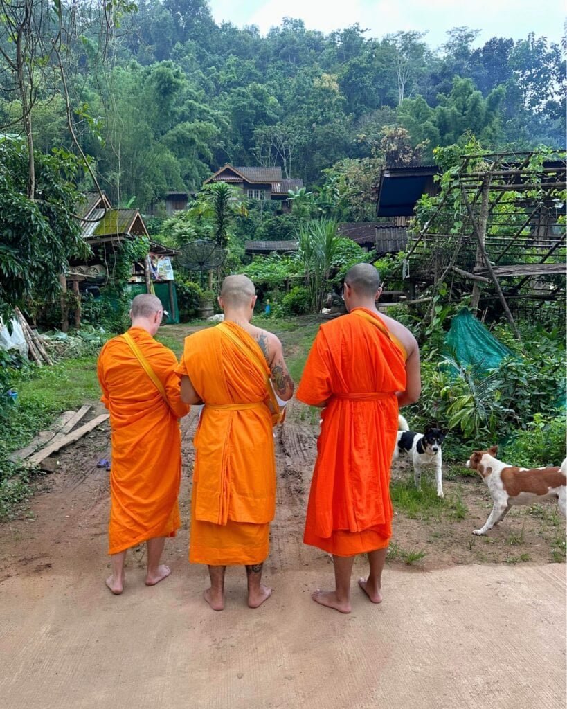 morning elms in pa pae retreat in thailand