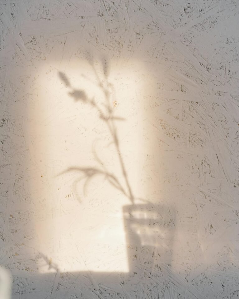 menthal wellness and spirituality