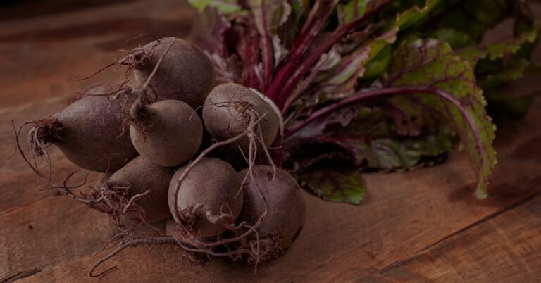 blog cover Best Beetroot Supplements Powders Capsules Gummies