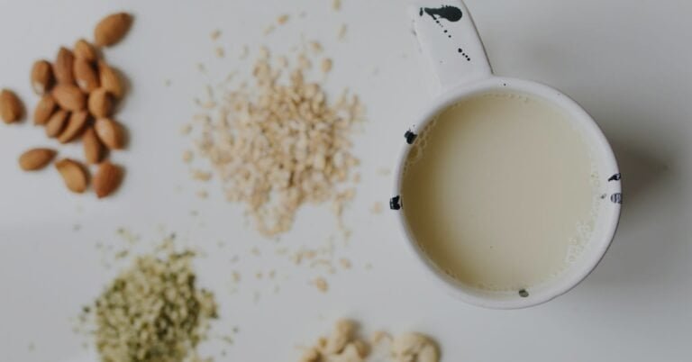 best nut milk makers non toxic