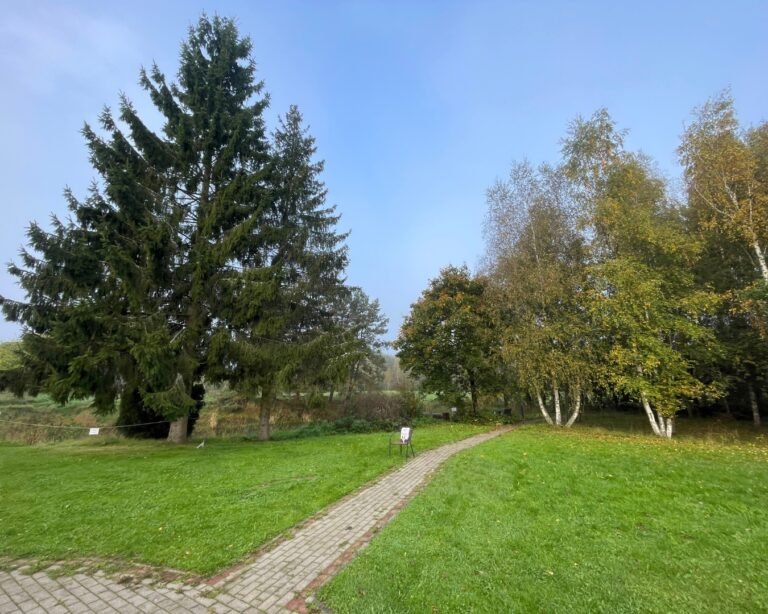 vipassana retreat lithuania grounds 2