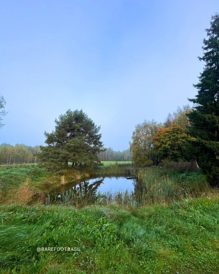 vipassana retreat meditation hall
